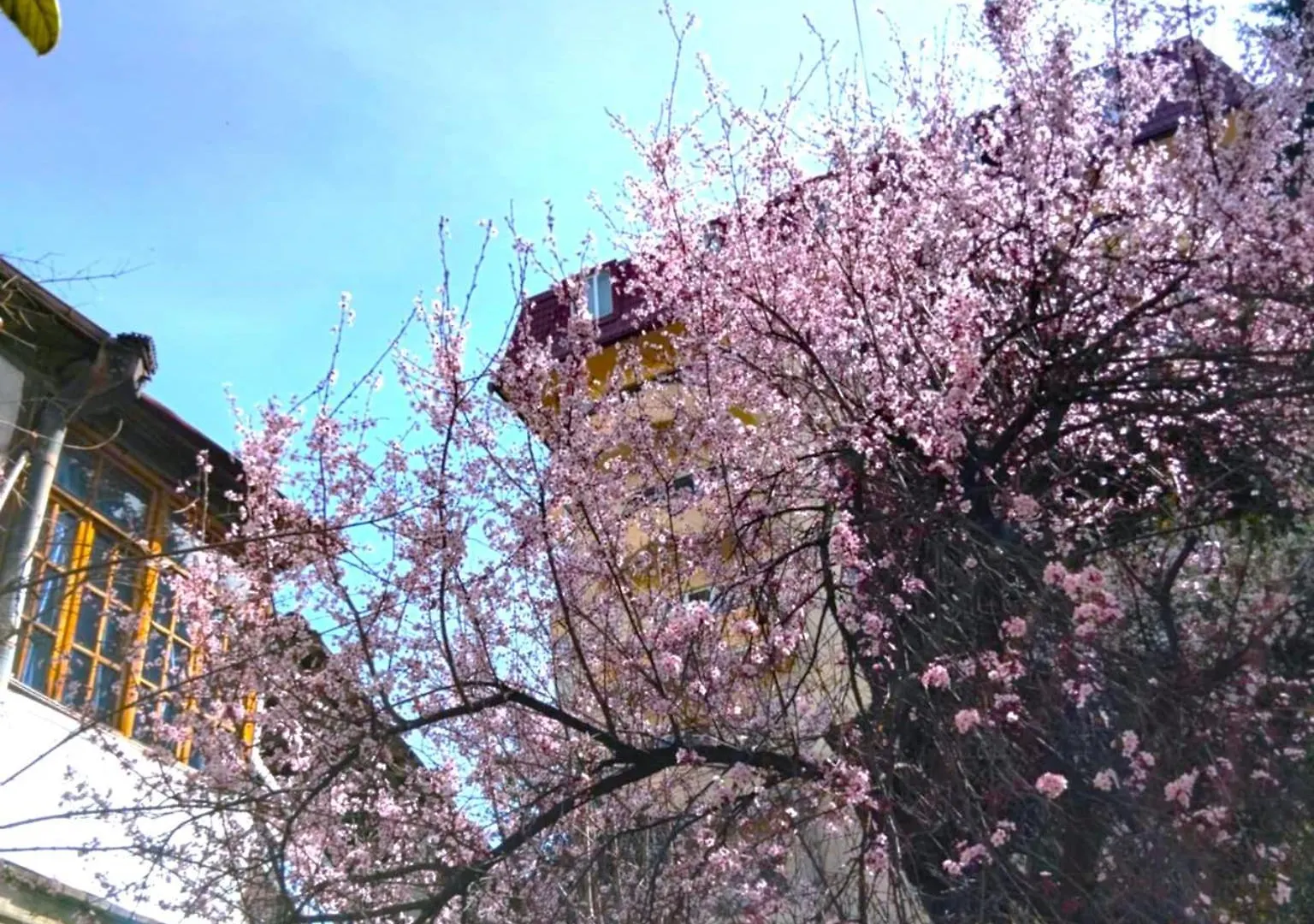 홈스테이 Green Space Apartment 트빌리시